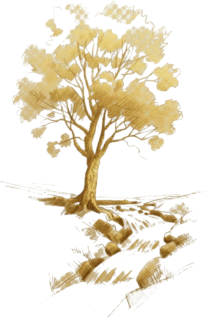 Pencil sketch of a lone tree by a stream